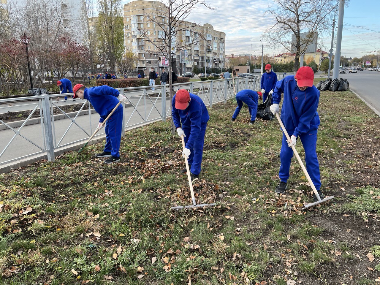 IMG_20251026_124845_401